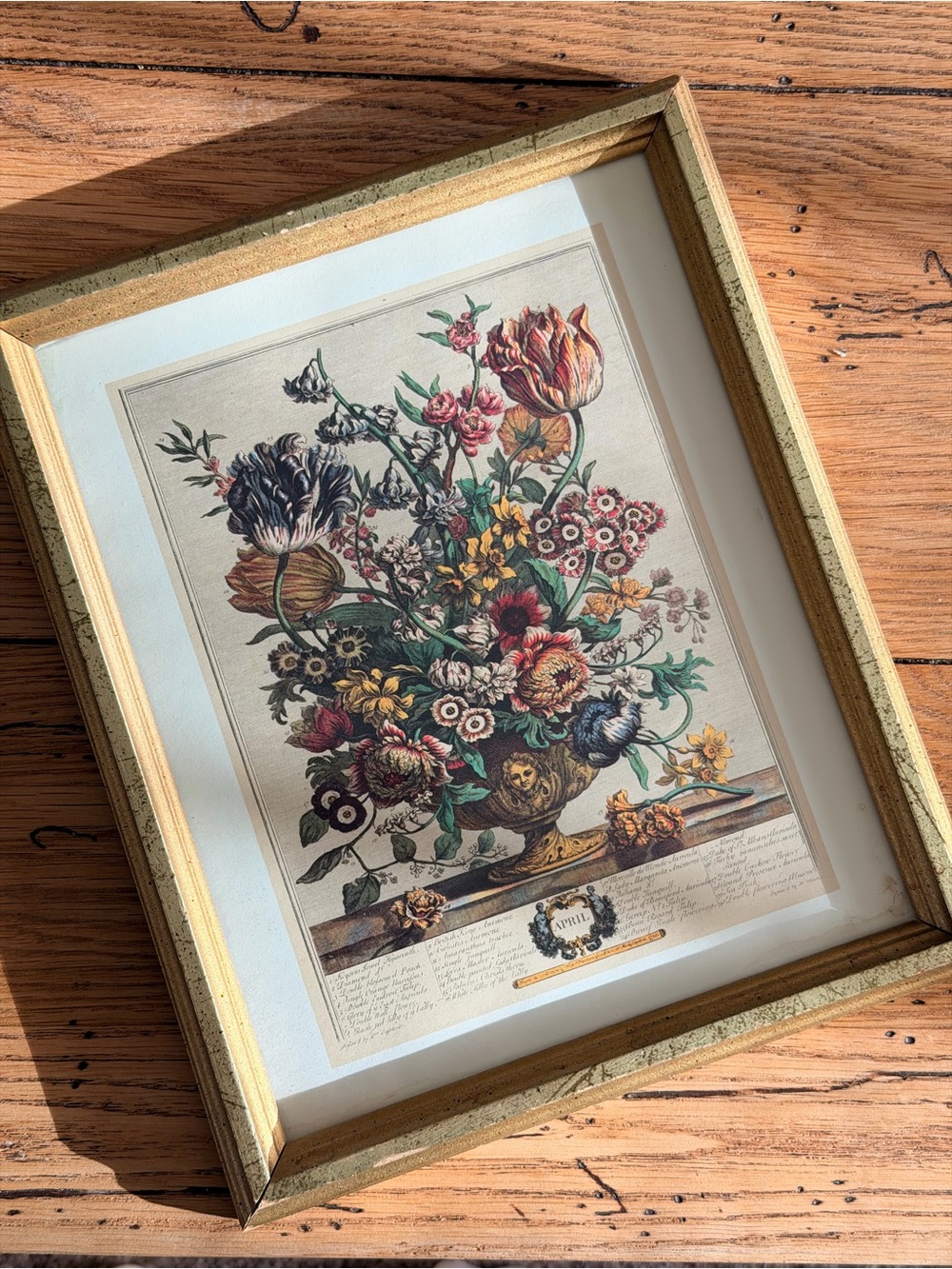 Vintage floral Robert Furber print